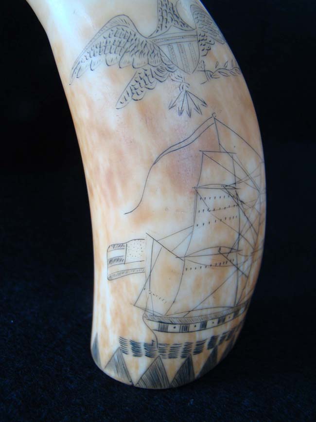 A wonderful American scrimshaw sperm whale's tooth circa 1850 — image 8